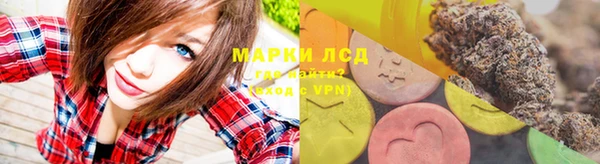 прущие грибы Осинники