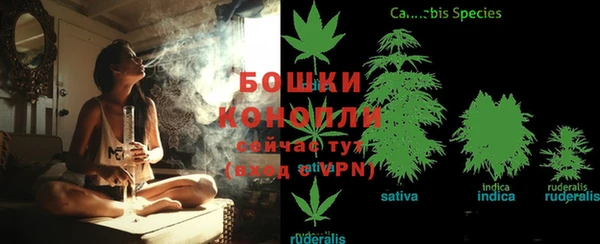 прущие грибы Остров