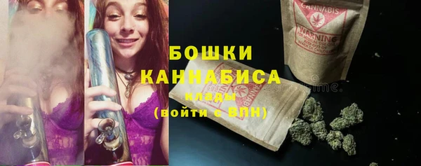 прущие грибы Осинники