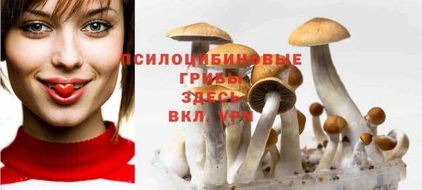 амфетамин Осташков