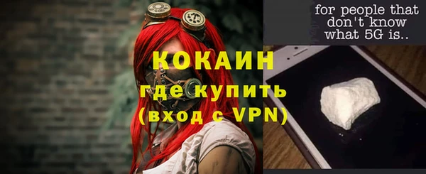 прущие грибы Осинники
