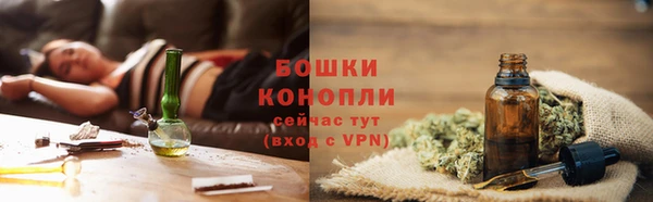 прущие грибы Осинники