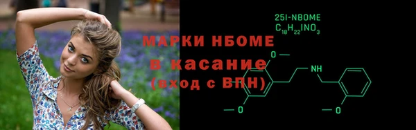 прущие грибы Осинники