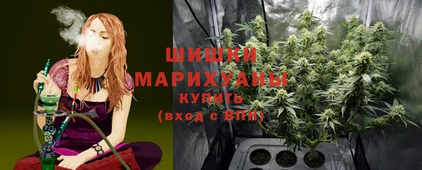 прущие грибы Остров