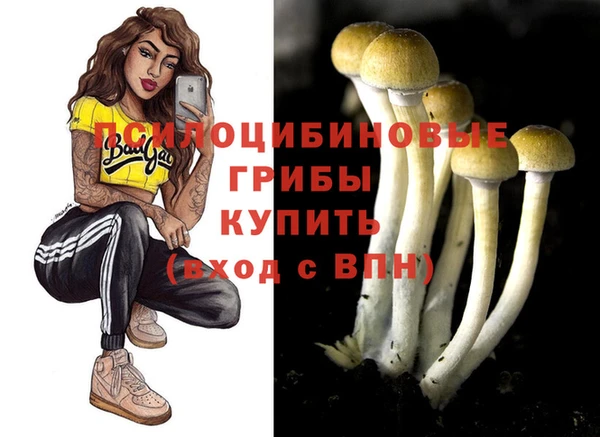 прущие грибы Осинники