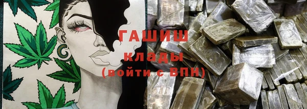 прущие грибы Осинники