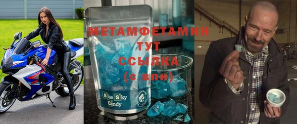 прущие грибы Осинники