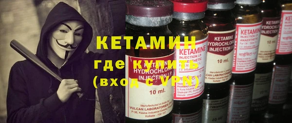 прущие грибы Осинники
