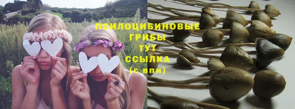 прущие грибы Остров