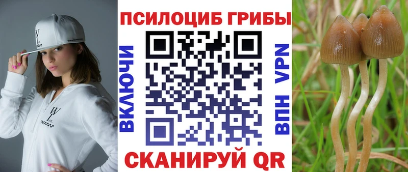 kraken сайт  это формула  Псилоцибиновые грибы мухоморы  Татарск 