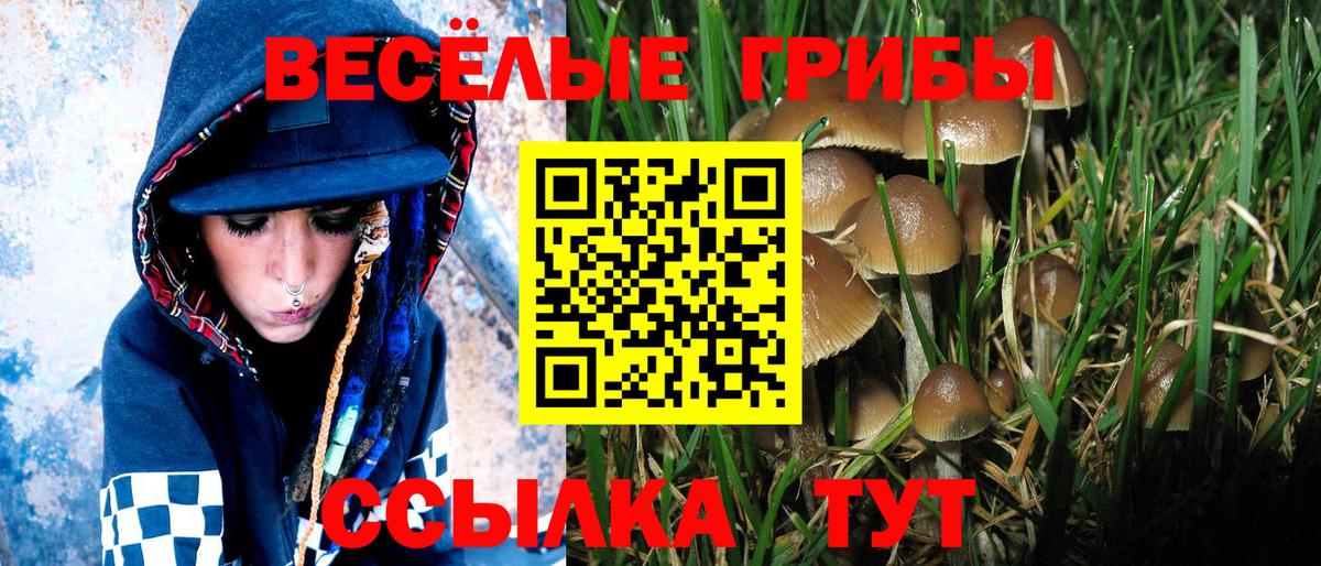 Галлюциногенные грибы прущие грибы  Вход с VPN  Татарск 